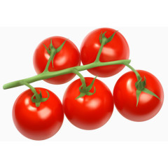 五只红色的番茄