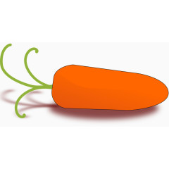 光滑的萝卜