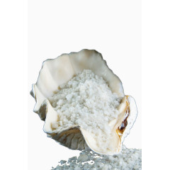 白色蚌壳里的海盐