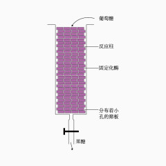 固定化酶的反应柱