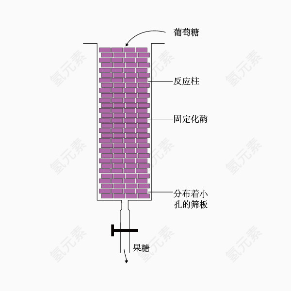 固定化酶的反应柱