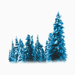 冬季树木森林元素