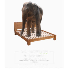 大象踩在床上