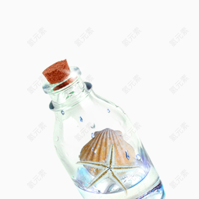 贝壳海星玻璃瓶