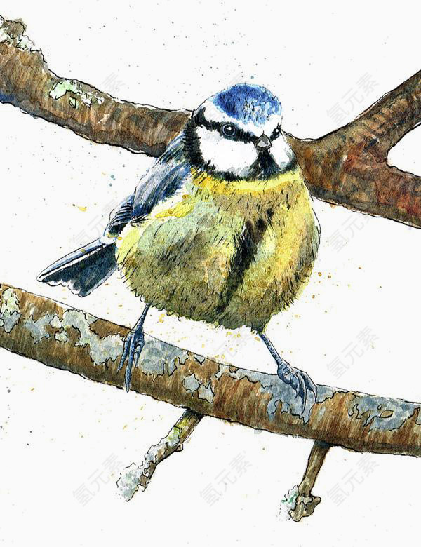 卡通手绘枝头上的小鸟
