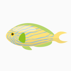 条纹海鱼
