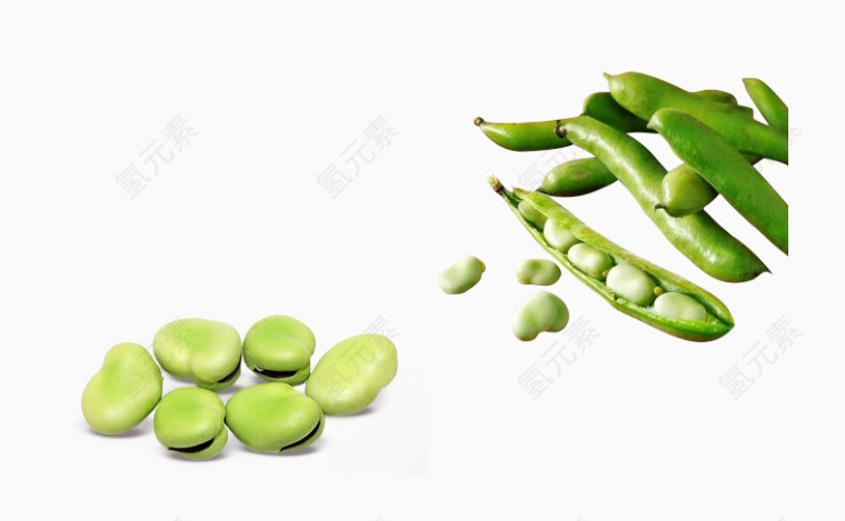 生鲜蚕豆