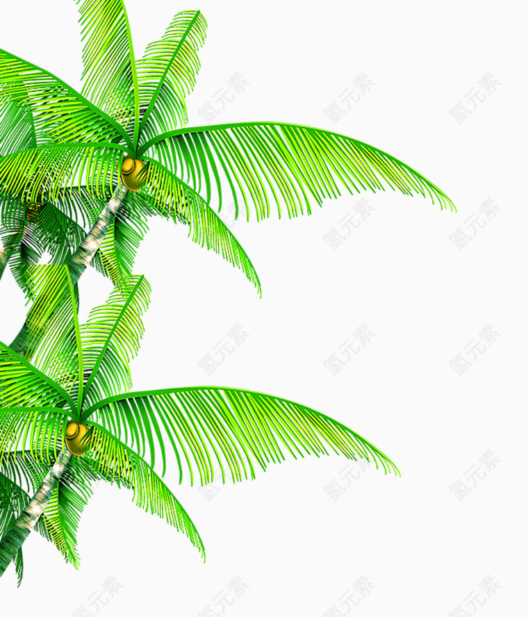 椰子绿色插图元素