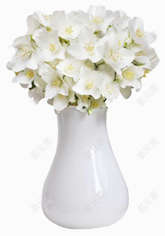 花瓶里的花