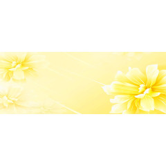 黄色花瓣素材