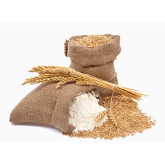 小麦面粉
