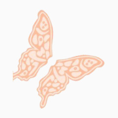 单色插画手绘蝴蝶
