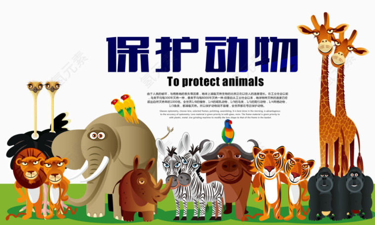 保护动物海报排版