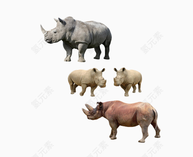 免抠素材动物犀牛