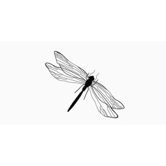 中国风传统水墨蜻蜓