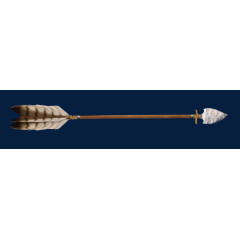 古代羽毛箭