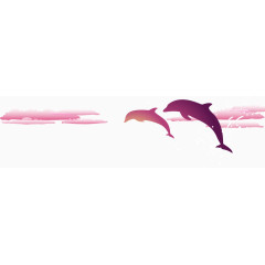 飞跃的海豚