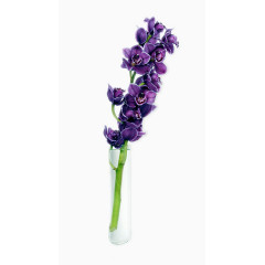 花瓶中盛开的紫色花朵