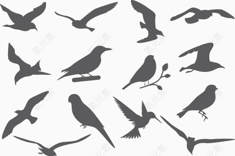 矢量图鸟的各种姿态