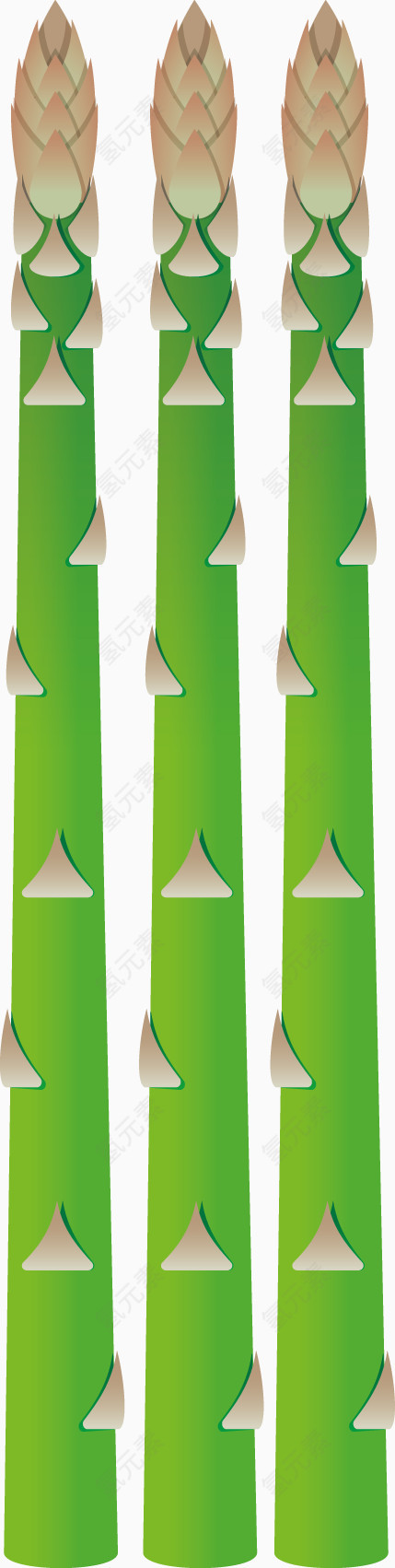 矢量创意设计绿色莴苣蔬菜图