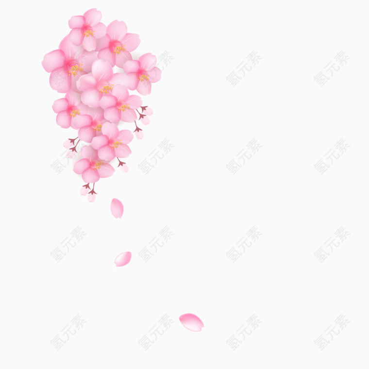 粉色樱花花朵