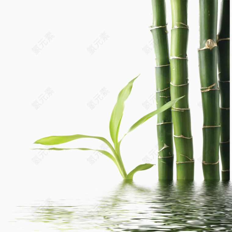竹节