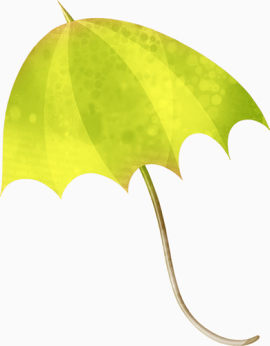 雨天绿生气伞