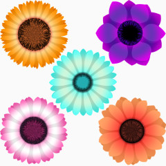 多彩的花朵透明图