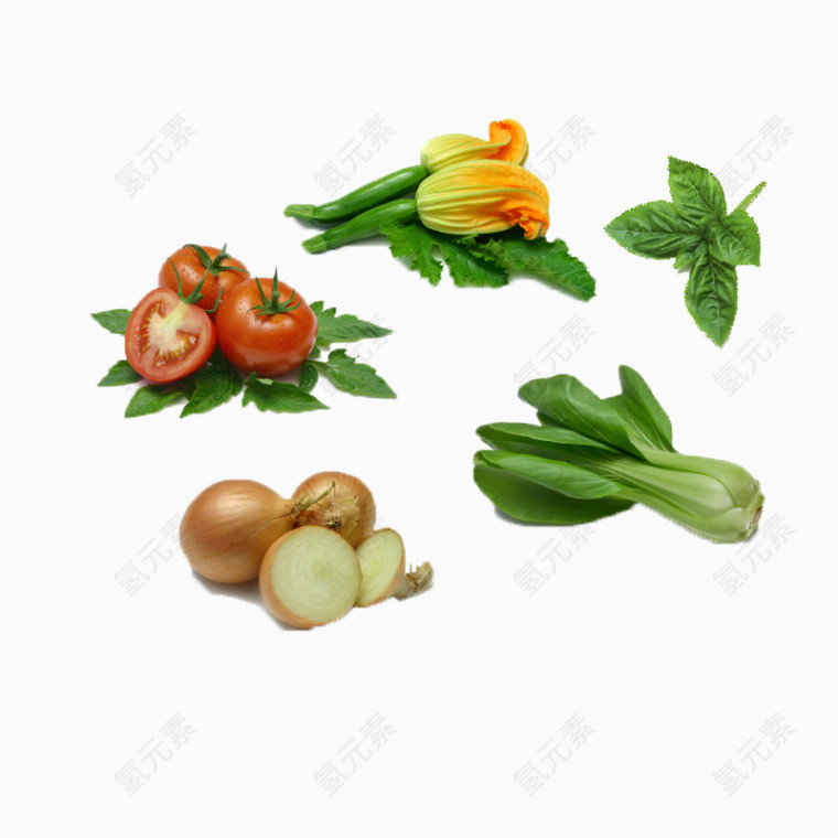 5种常见的蔬菜
