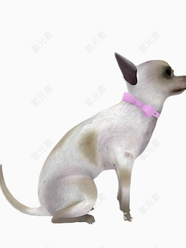 戴着粉色丝带的玩具狗