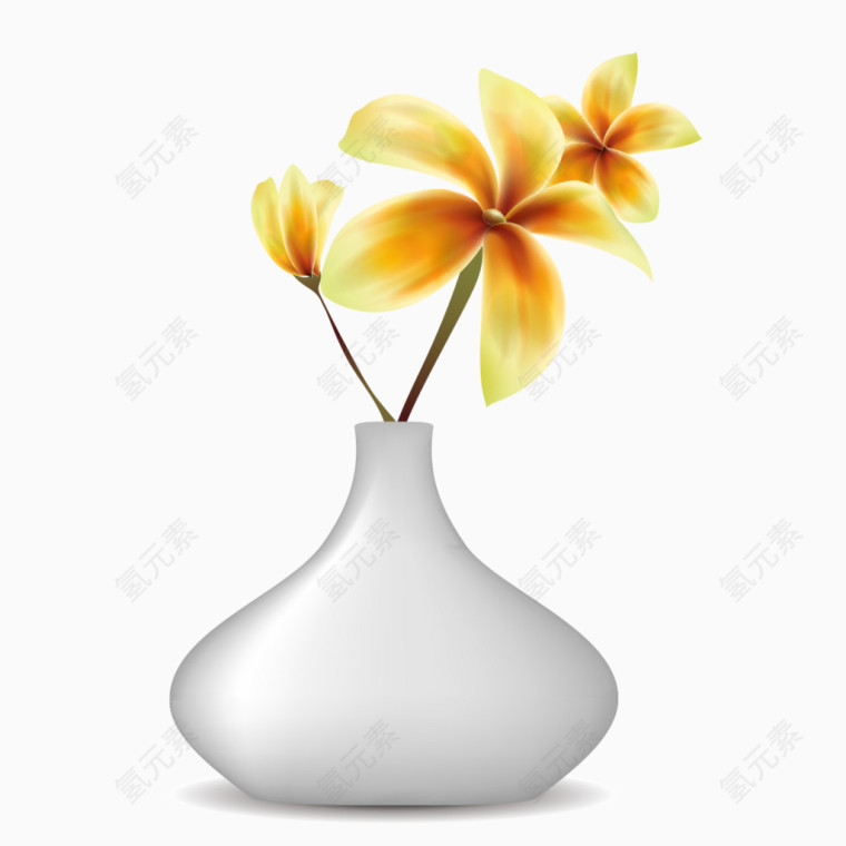 花瓶里的黄花