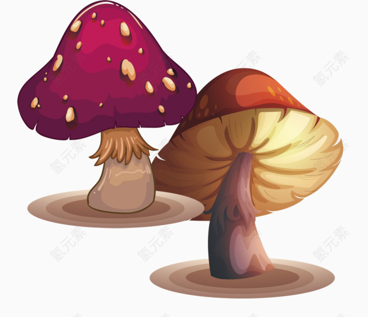 两朵蘑菇