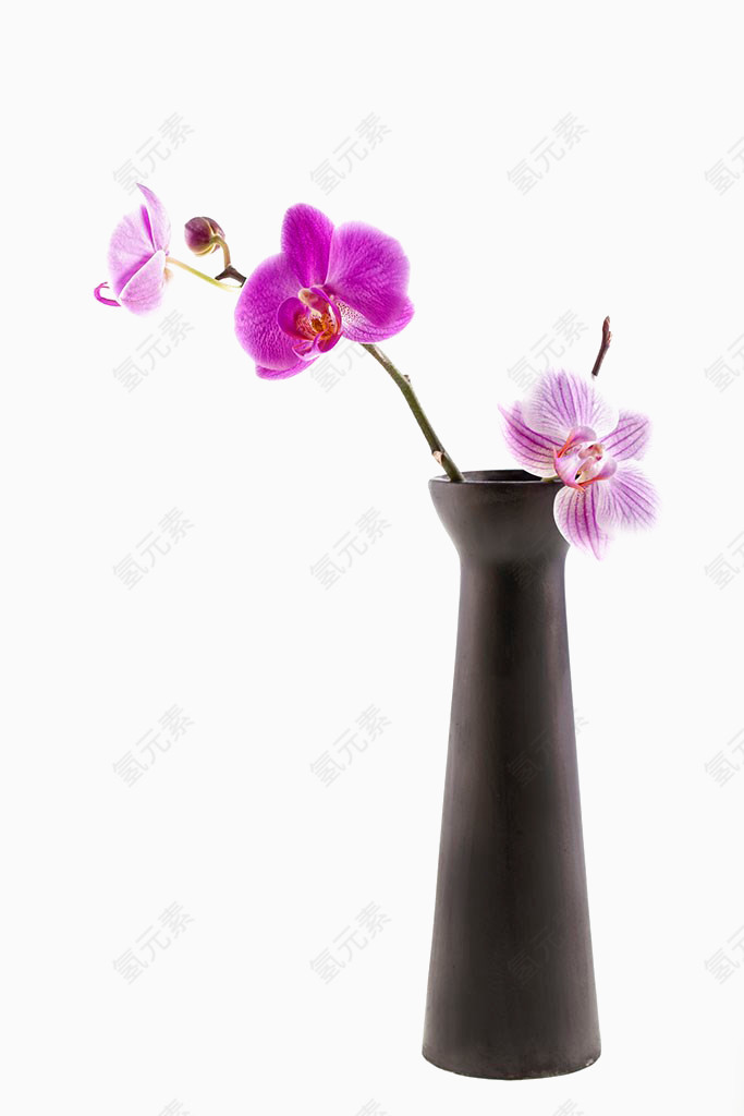 一枝紫色的花朵插在瓶子