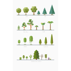 不同种类树木