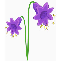 紫色铃兰花