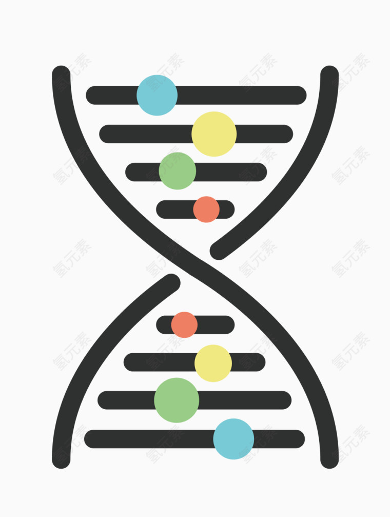 矢量DNA结构素材