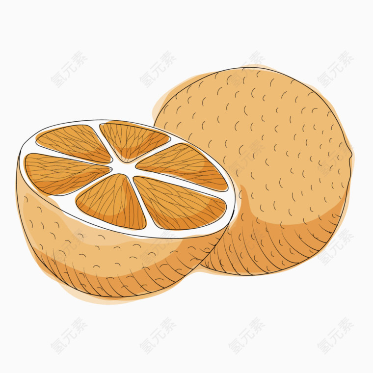 矢量水果俯视橘黄色橙子