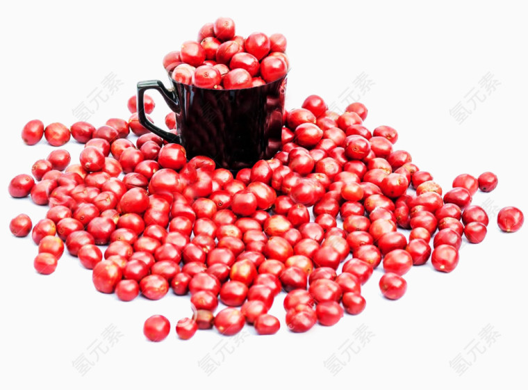 红色咖啡树豆子图片素材