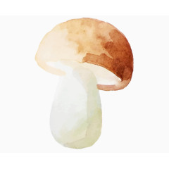 水彩画蘑菇