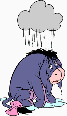淋雨的小驴