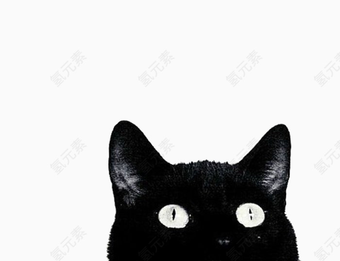 黑色小猫