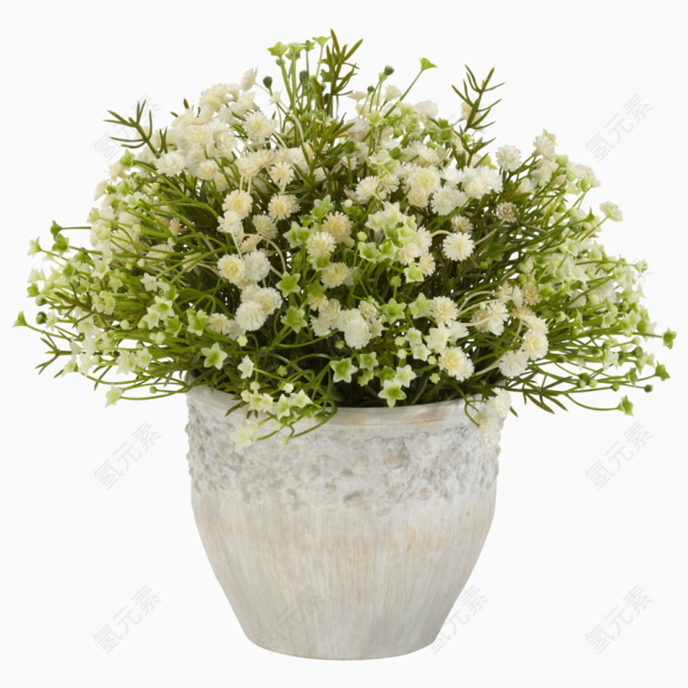 白色小花花盆