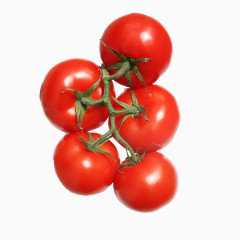 多个西红柿矢量图