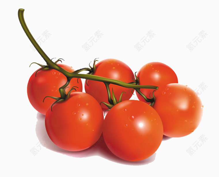 红色番茄矢量