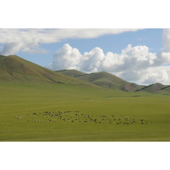 辽阔的蒙古草原
