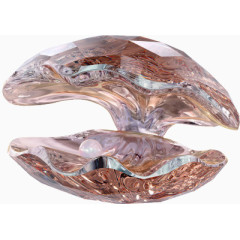珍珠玉蚌