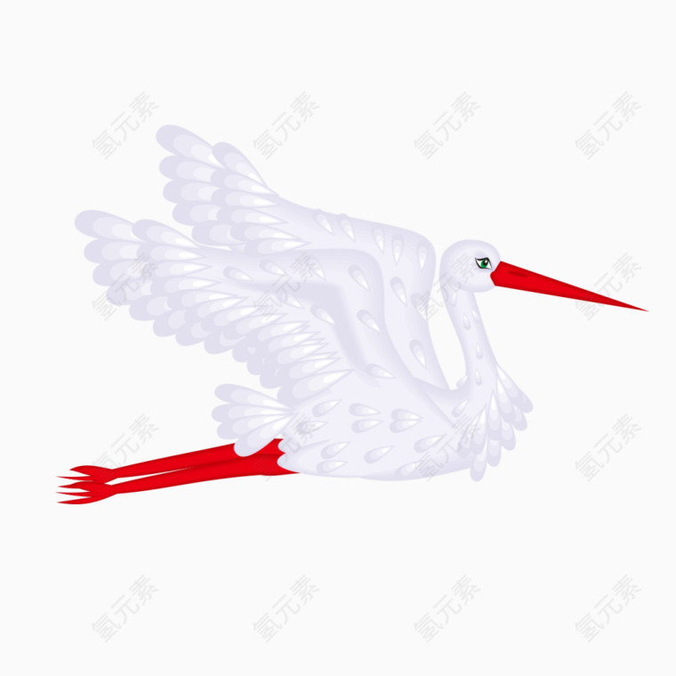 白色飞翔的鸟种类
