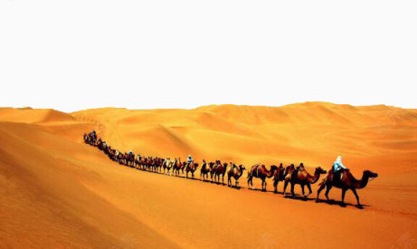 沙漠骆驼下载