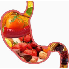 肠胃