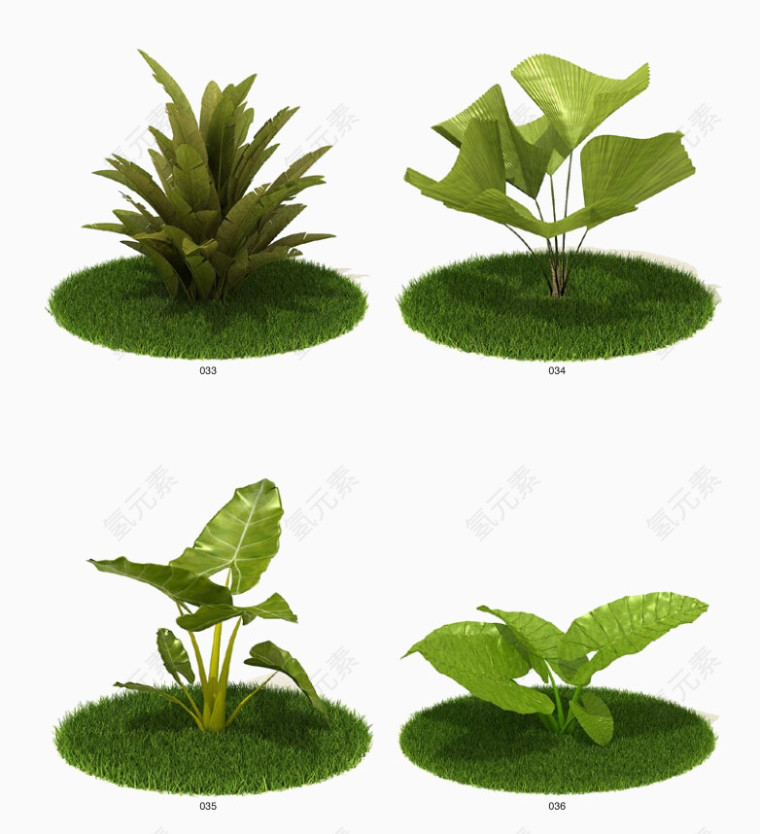 新鲜的绿色植物